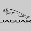 Jaguar Omaha